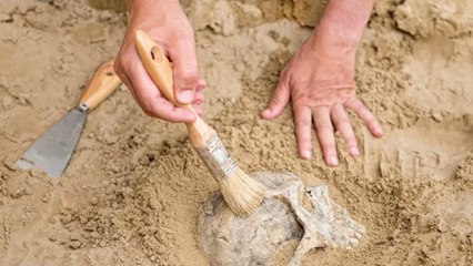 L'arme honteuse qu'utiliserait l'armée de Vladimir Poutine en Ukraine