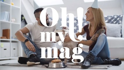 Cat or dog: Which pet fits your personality best?