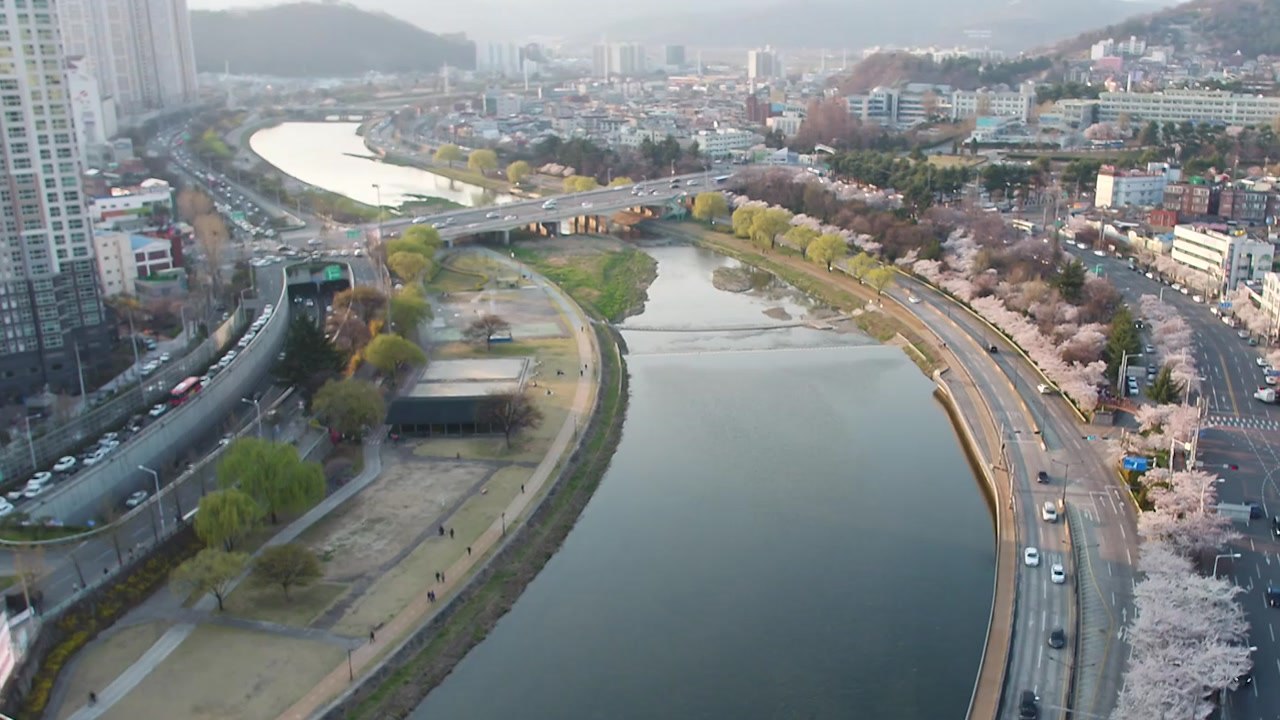 [대구] 대구 도심 하천 신천에 낙동강 물 공급...생태 복원 기대 / YTN