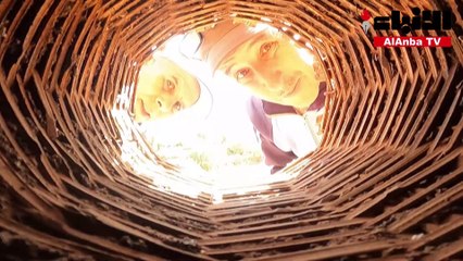 في المغرب.. النحل يهجر أقدم مزرعة جماعية لتربيته بالعالم