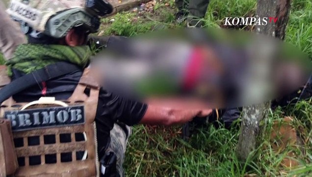 Seorang KKB Tewas Ditembak Petugas di Puncak Papua