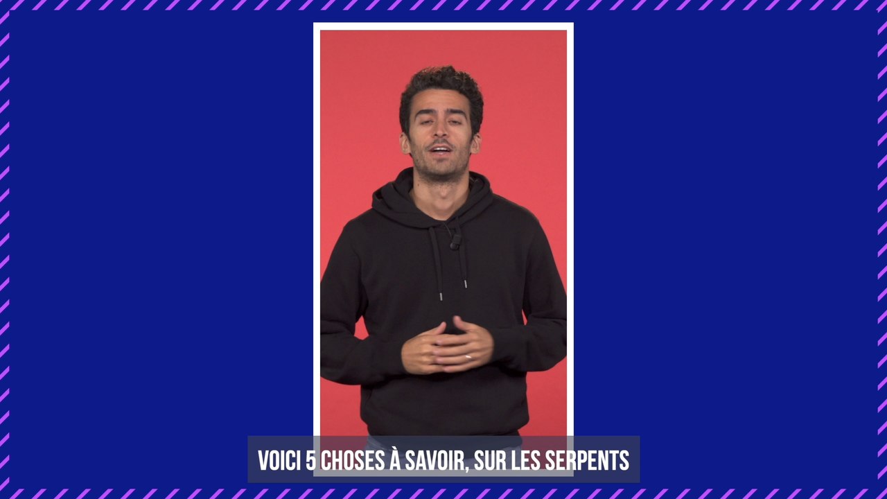 Archéologie : des chercheurs découvrent un serpent préhistorique capable de marcher