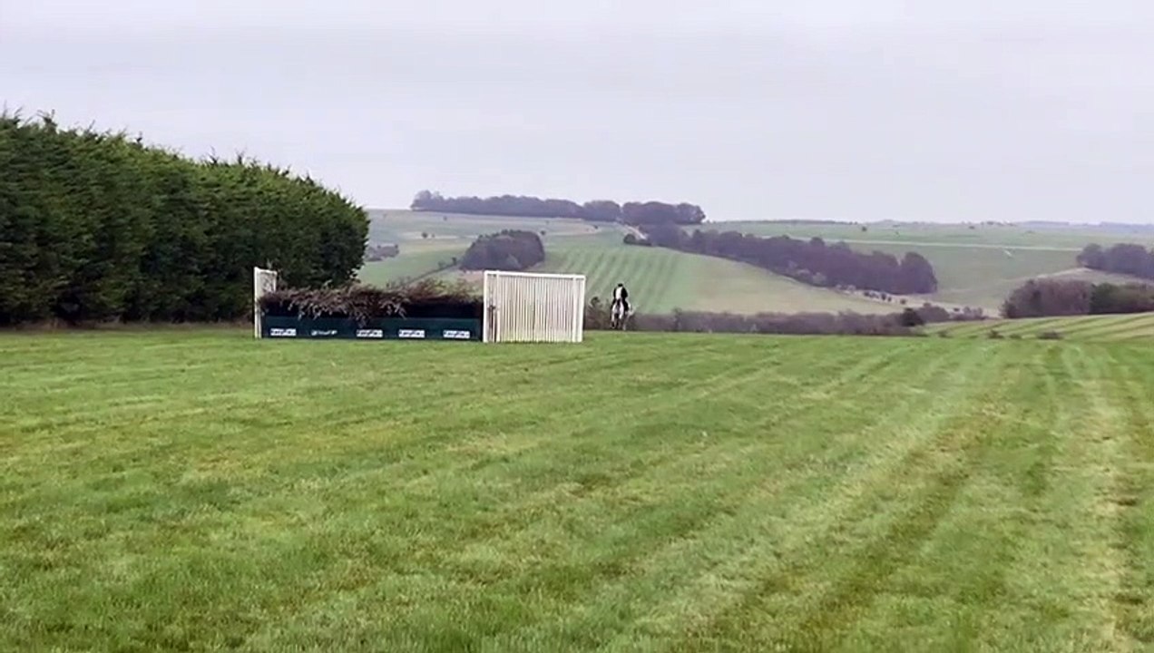 Snow Leopardess Aintree fences