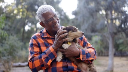 This heroic dog saves the life of his elderly owner who was drowning