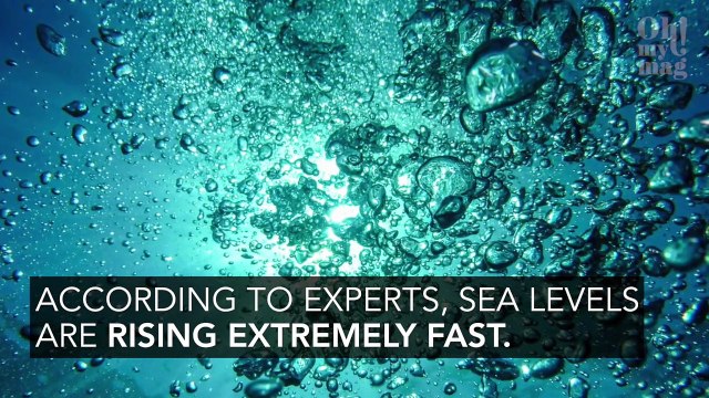 Climate Change, Ocean Acidification, Rising Water Levels... The IPCC Predicts A Bleak Future