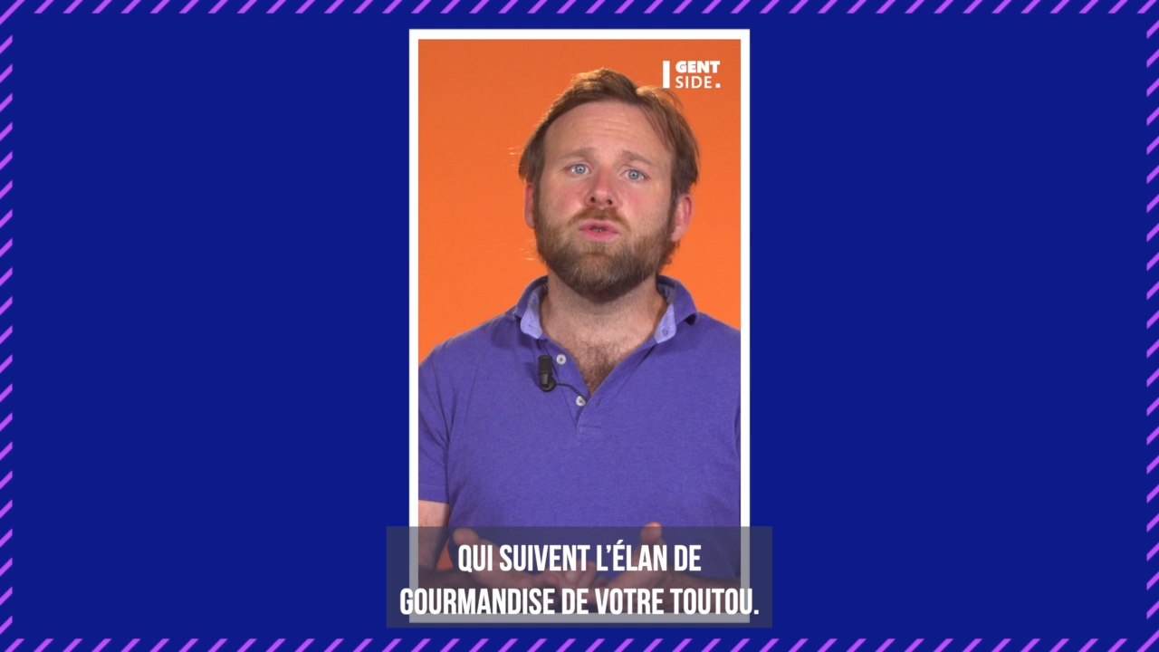 À quelle fréquence faut-il laver son chien ?