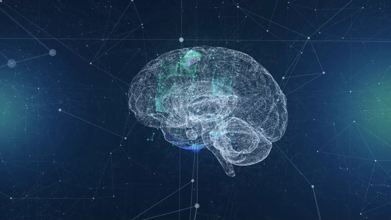 Diese 5 schlechten Angewohnheiten schädigen euer Gehirn