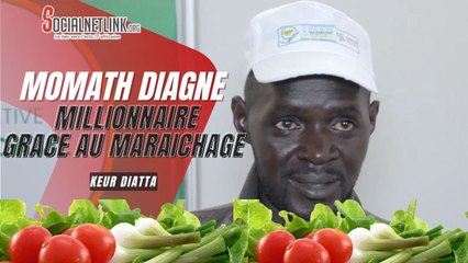 Momath Diagne , le cultivateur sénégalais  devenu millionnaire grâce au maraichage