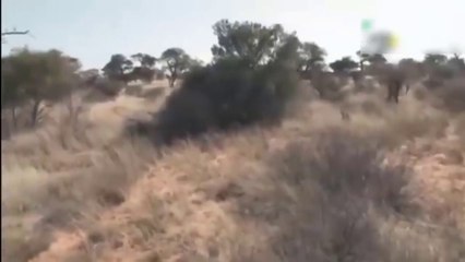OMG! Crazy Leopards Attack Caused The Man To Almost Lose His Life - Crazy Moments Of Leopard