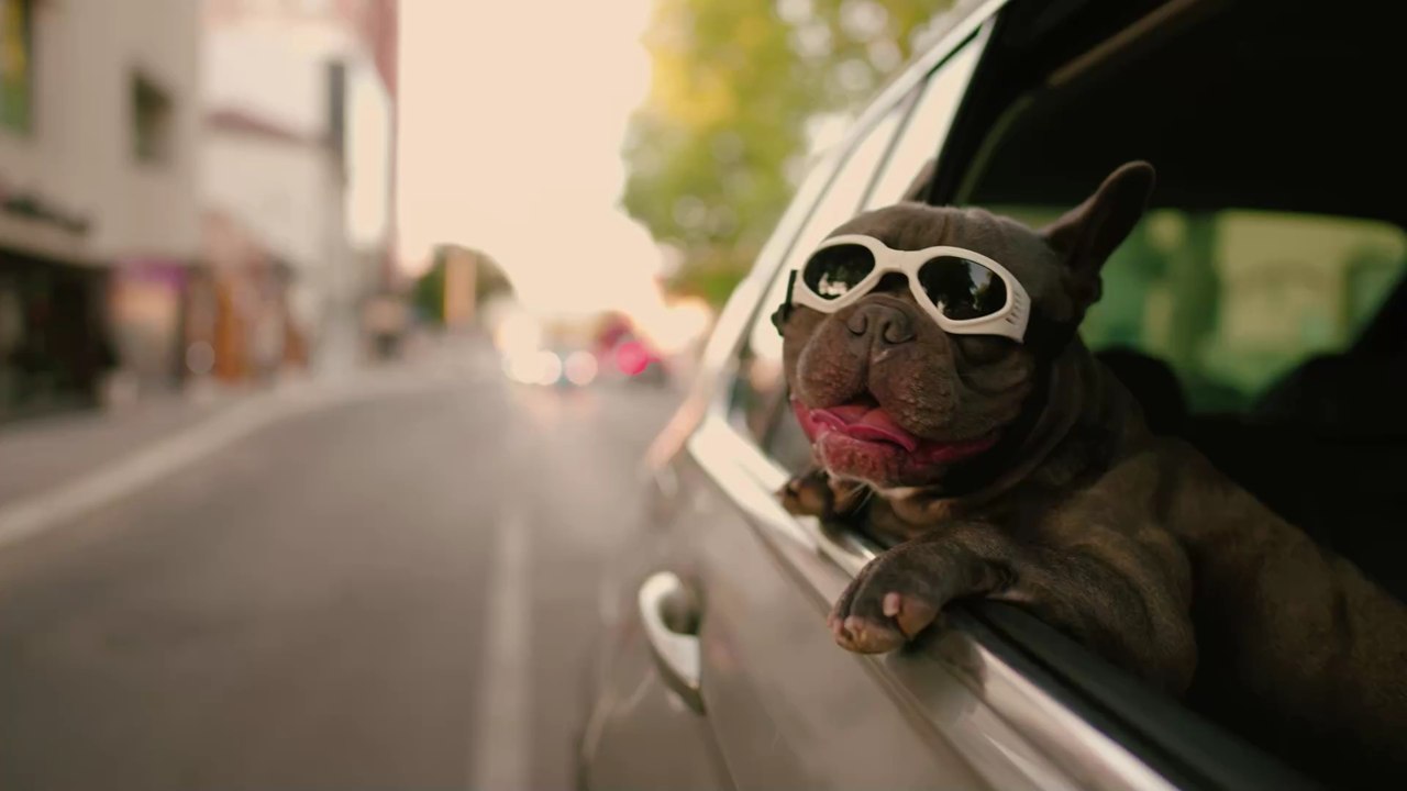 Billige Sonnenbrillen: Ärzte warnen vor schädlichen Auswirkungen auf die Augen