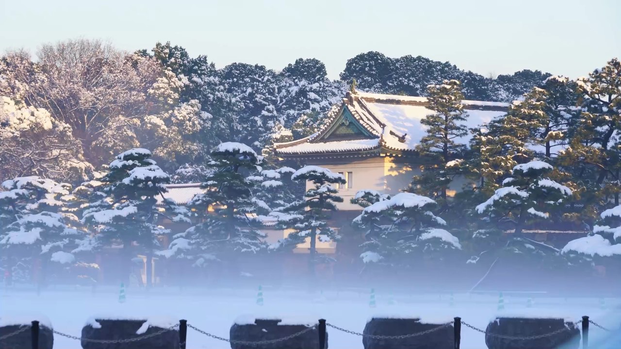 Japanischer Prinz Hisahito wendet sich von kaiserlichen Traditionen ab