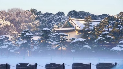 Japanischer Prinz Hisahito wendet sich von kaiserlichen Traditionen ab