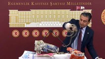 Bakan Adana'da plastik atık yok dedi CHP'li Bulut atıkları tek tek sergiledi