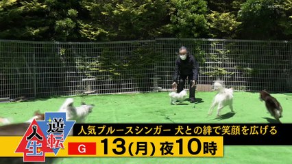 Komi-san wa, Komyushou Desu (2021) (Live Action) - 01 Indonesia