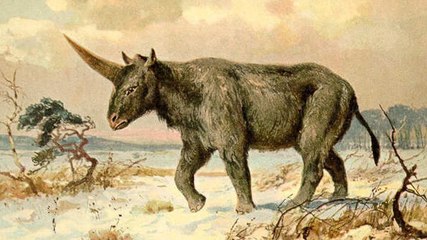 Sibirisches Einhorn: Forscher bestätigen, dass Einhörner existiert haben und mit Menschen lebten