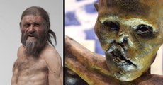 Ötzi: Die Todesursache der ältesten Mumie der Welt