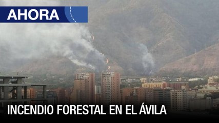 Incendio forestal en el Ávila - #04Abr – Ahora