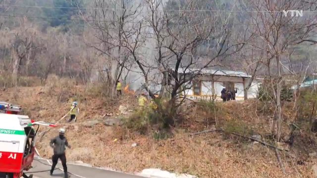 강릉 산불 1시간여 만에 진화... 번개탄 피우다 불 / YTN