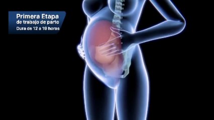 Child in mother stomach