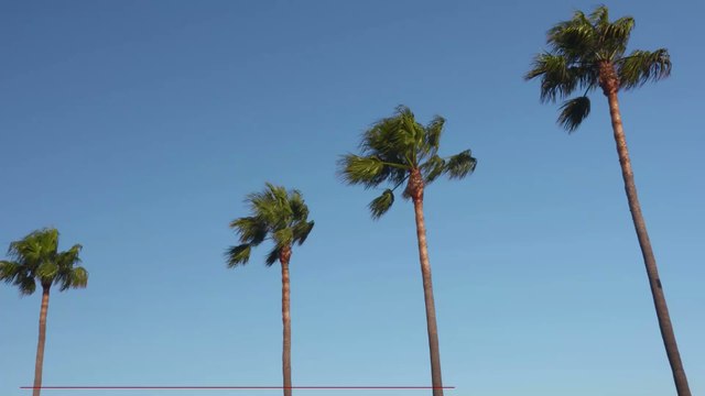 China plane crash: Here's what we know so far about the plane that crashed with 132 people on board