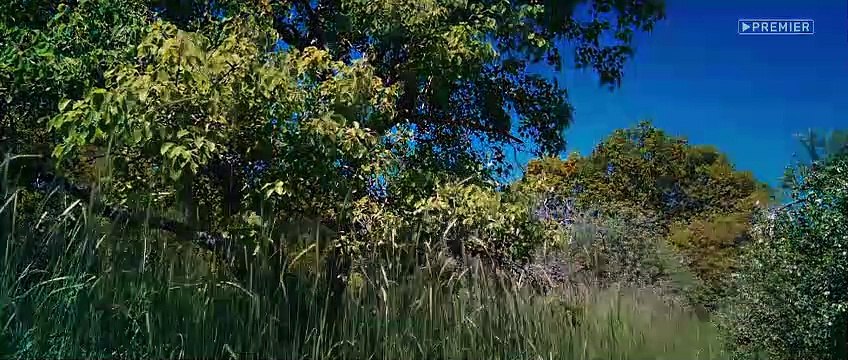 Здравствуйте, вам пора - 2 серия