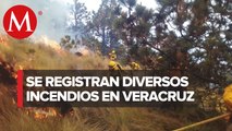 En Veracruz se registraron 11 incendios forestales