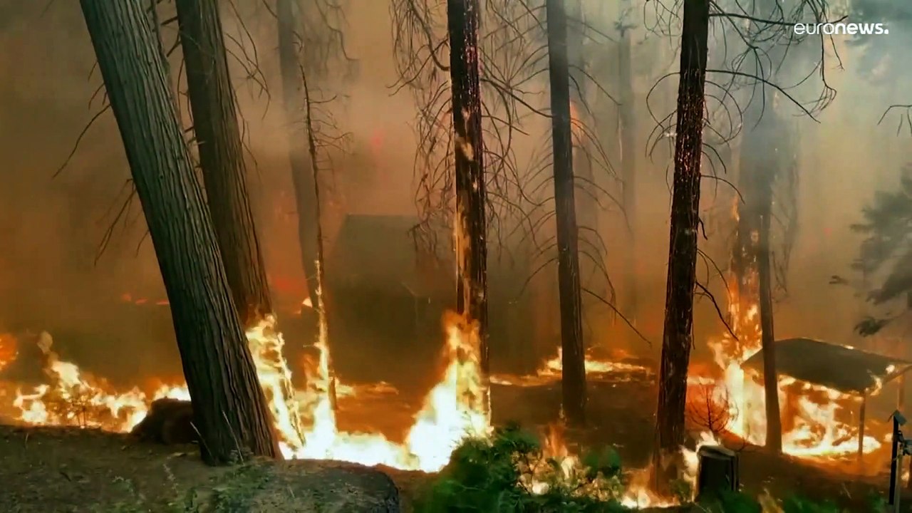 Guterres: "Das ist die Klimakatastrophe"