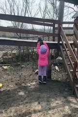 Küçük kızla yavru köpeğin gülümseten dostluğu