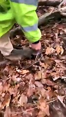 Squirrel Bites Man's Pant Leg and Won't Let Go