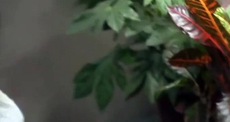 The Dead Zone S02 E16