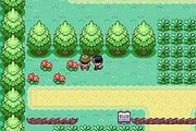 Pokémon Retour à Kanto: Nouvelle Ère online multiplayer - gba