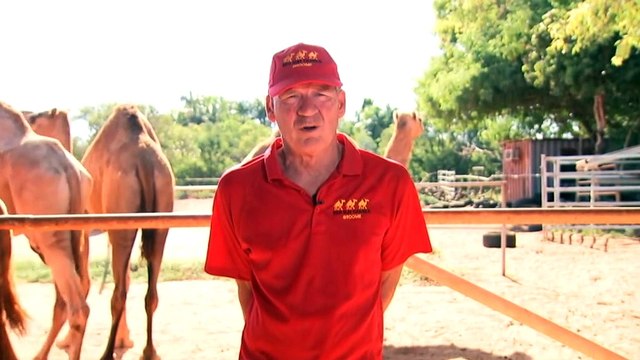 Tourism businesses in northern Australia struggling to find staff after COVID shutdown