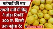 Lemon Price: Lemon ने खट्टा हुआ लोगों का मन, Bulandshahr में 300 रुपये किलो | वनइंडिया हिंदी