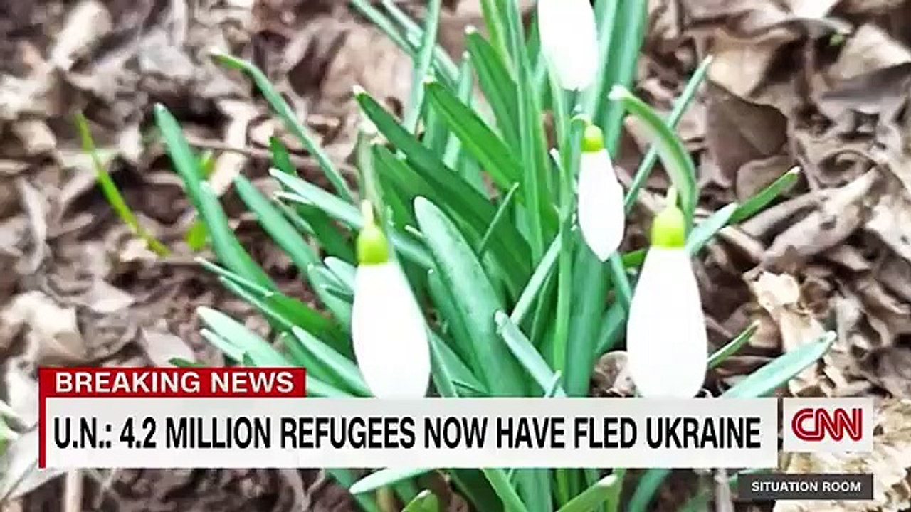 'I try to not cry'- Teen refugee copes with leaving parents in Ukraine_2