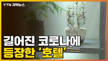 [자막뉴스] "한 달 동안 6만 명 방문"...코로나가 불러온 이색 취미 / YTN