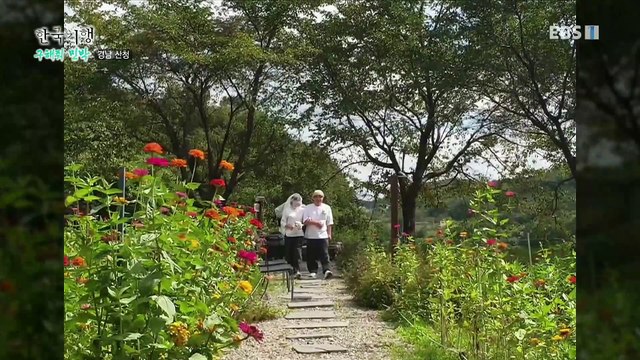 한국기행 - Korea travel_구해줘 민박 2부- 오직 당신만을 위해_#001