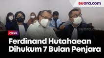 Kasus Cuitan Allahmu Lemah, Jaksa Tuntut Ferdinand Hutahaean Dihukum 7 Bulan Penjara