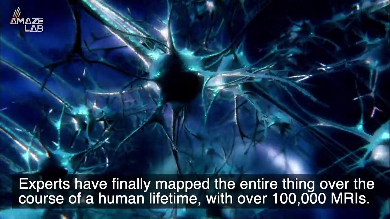 Over 100,000 MRIs Captured Over 100s of Lifetim...