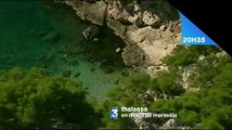 Bande-Annonce Thalassa (France 3)