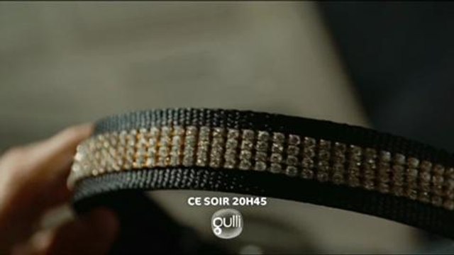 Le chien milliardaire (Gulli) Bande-annonce 19 octobre