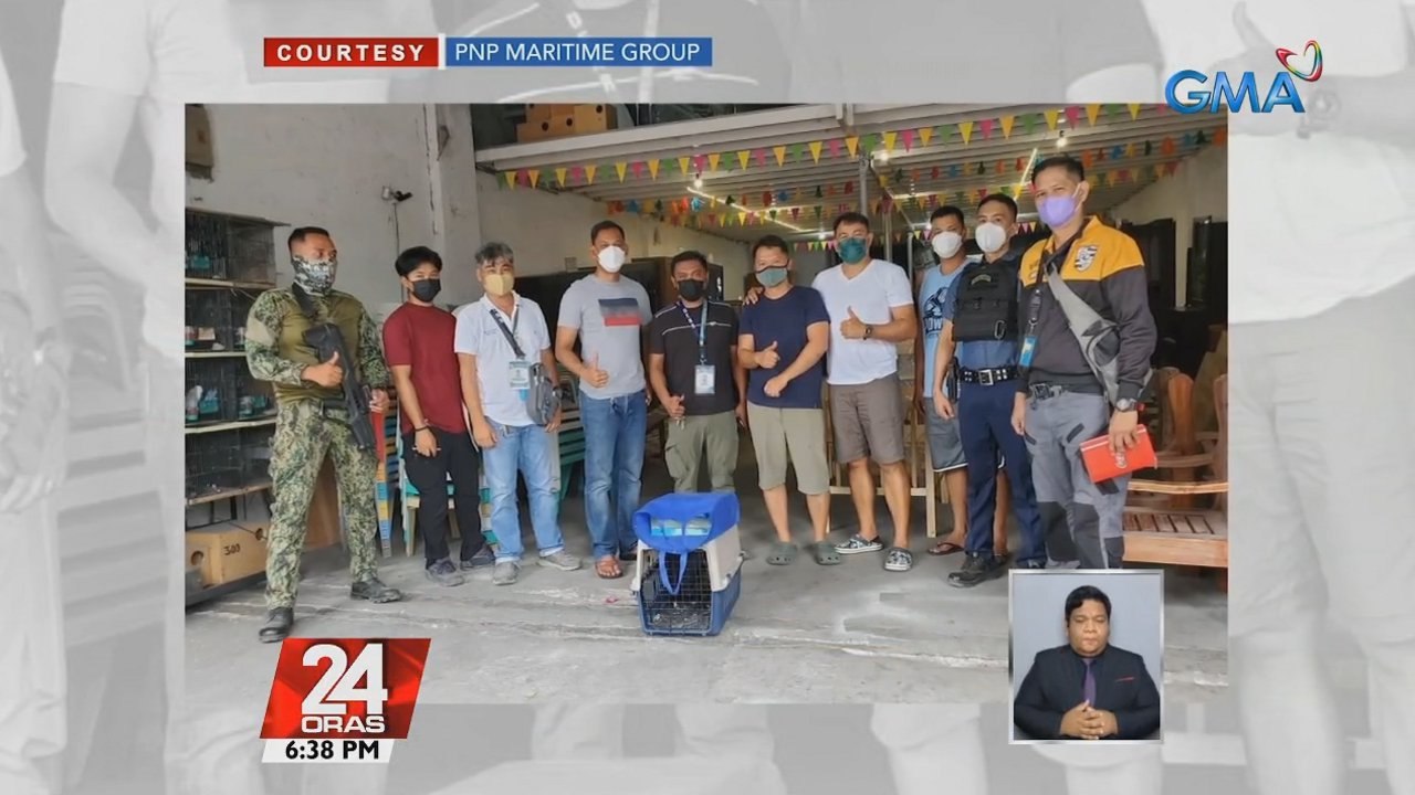 Lalaking nagbebenta umano ng mga endangered na hayop, tiklo | 24 Oras