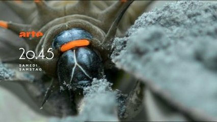 Le peuple des volcans (Arte) 6 juillet