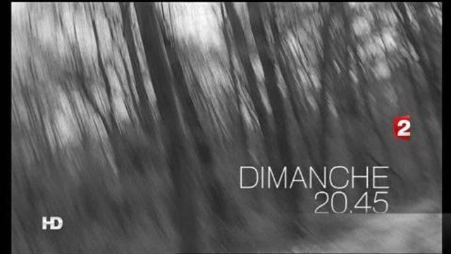 Les tontons flingueurs