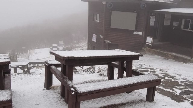곳곳에 벚꽃 만개한 봄날 아침에...덕유산 정상엔 눈 내렸다 / YTN