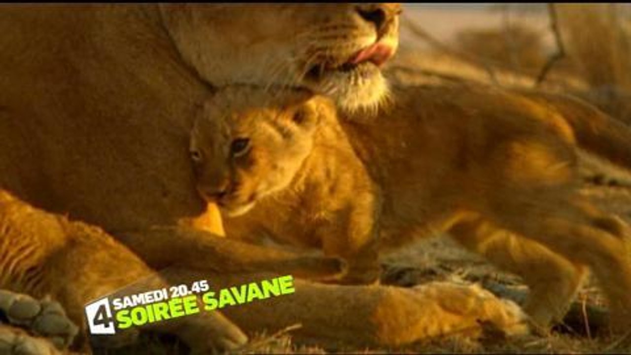 Soirée Savane (France 4)