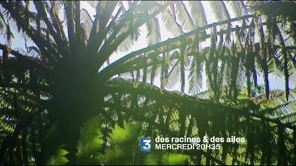 Des racines et des ailes (France 3) Bande-annonce 15 août