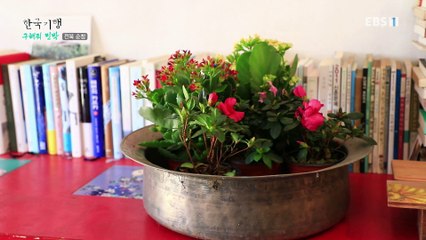 한국기행 - Korea travel_구해줘 민박 4부- 마당 깊은 여관집_#001