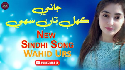 Jani Khil Ta Sahi | Wahid Urs  | New Sindhi Song | Sindhi Gaana