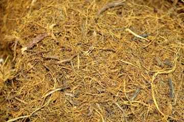 Ramazan ayında susuzluğun çaresi "meyan kökü şerbeti"