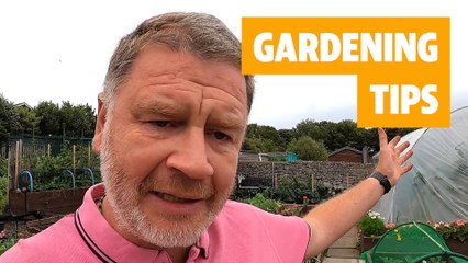 How to grow your own fruit and veg from scratch
